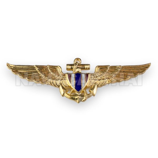 เข็มนักบิน-ทร